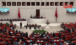 TBMM Genel Kurulu... DEM Parti ve İYİ Parti arasında 'Ankaranız batsın' tartışması