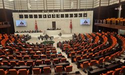 TBMM Genel Kurulu... Heval Bozdağ: Çocuk bakımı yalnızca anneyle özdeşleştirilmemeli, eşit ebeveynlik ve burada babaların bakım sorumluluğu güçlendirilmeli