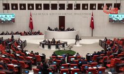 TBMM Genel Kurulu... Sosyal Hizmetler Kanunu ve Bazı Kanunlarda Değişiklik Yapılması Hakkında Kanun Teklifi'nin dokuz maddesi daha kabul edildi