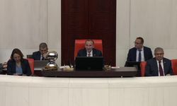 TBMM Genel Kurulu: Türkan Elçi: 'Toplumda avukatlık mesleğinin saygınlığı anlaşılmadıkça adaletin tesisi de mümkün olamayacaktır'