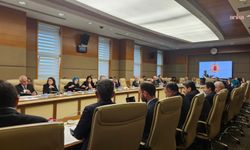 TBMM Sağlık, Aile, Çalışma ve Sosyal İşler Komisyonu... Ahmet Eşref Fakıbaba: Aile Sağlığı Merkezi'nde çalışan doktor, ebe, hemşire gibi anne adayları bu yasadan faydalanamayacak