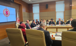 TBMM Sağlık, Aile ve Çalışma Komisyonu...CHP'den kadınların iş hayatı öncesi annelik sürecinin askerlik gibi sigorta kapsamına alınması önerisi