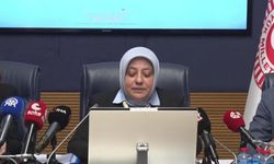 TBMM'de Akran Zorbalığının Araştırılması Alt Komisyonu toplandı: 'Mevzuatlar artık yetmiyor'