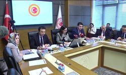 TBMM'de suça sürüklenen çocuklara ilişkin araştırma sonuçları: 'Çocukların yüzde 27'si uygun bir rehabilitasyon görürse büyük olasılıkla cezaevine dönmeyecek'