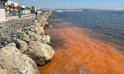 Tekirdağ kıyılarındaki renk değişimi nedeninin mevsimsel alg patlaması olduğu ortaya çıktı
