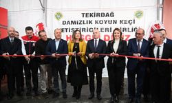 Tekirdağ'da 'Küçükbaş Hayvancılık Festivali' başladı