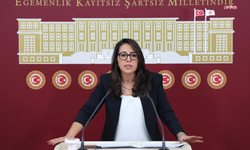 TİP'li Kadıgil'den Bakan Çiftçi'ye: İlayda Zorlu'nun ölümüne ilişkin soruşturmanın durumu nedir? Adli tıp raporu tamamlanmış mıdır?