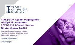 Toplum Çalışmaları Enstitüsü'nden yeni rapor: Türkiye'nin doğurganlık hızında ciddi kırılma yaşanıyor