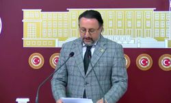 Türkiye-AB Karma Parlamento Komisyonu Türk Grubu Başkanı Karayel'den GKRY'de bayrak yakılmasına tepki: Provokatif ve bilinçli tahrik