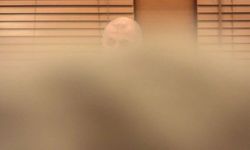 Ümit Özdağ: 'Türkiye'de terörün zirveye çıktığı dönemde bile ortaokulda kan dökülmemişti'