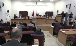 Uşak Belediye Başkan Vekilliğine Özlem Terekeci Özkan seçildi... Özkan: 'Önemli olan Uşak halkı ise gerisi teferruattır'