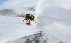 Van'da kar nedeniyle 93 yerleşim yerine ulaşılamıyor