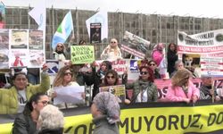 Yaşam hakkı savunucuları İstanbul İl Hayvanları Koruma Kurulu'nun toplantı yaptığı bina önünde eylem yaptı