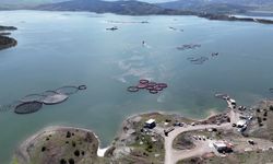 Yozgat Çekerek Barajı bölge ekonomisine hayat veriyor