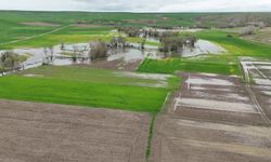 Yozgat'ta yağışlar yüzde 121 arttı: Baraj kapakları açıldı, tarım arazileri sular altında kaldı