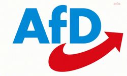 Almanya'da aşırı sağcı AfD, Brandenburg'da ilk kez Belediye Başkanlığı kazandı