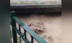 Andırın'da şiddetli yağışlar nedeniyle tarım arazileri sular altında kaldı