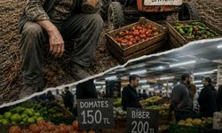 Arıkan'dan Dünya Çiftçiler Günü mesajı: 'İktidar enflasyon, faiz ve zam ekerek; çiftçimize zarar, borç ve umutsuzluk biçtirdi'