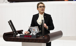 Asu Kaya, Bakan Işıkhan'a 'ev kadınlarına emeklilik' düzenlemesini sordu: '3 yıl geçti somut adım nerede?'