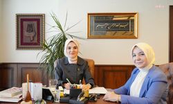 Bakan Göktaş'tan Darülaceze'ye kurban bağışı
