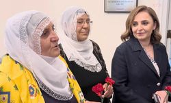 Barış Anneleri Heyeti, Adalet Bakanlığı'na İmralı Adası'nda Öcalan ile görüşmek için dilekçe verecek
