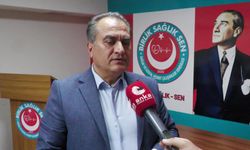 Birlik Sağlık Sen Genel Başkanı Doğruyol: 'Şiddeti önlemeyle ilgili çalışma yapması gereken bakanlıklar personeli şiddetin kucağına atmakta'