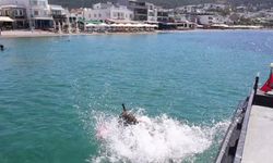 Bodrum Belediyesi'nin deniz dibi temizliği, bu yıl Kumbahçe'de başladı