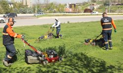 Çankaya Belediyesi'nden parklarda çim biçme çalışması 