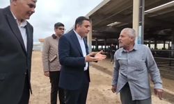 CHP 81 ilde sahada... CHP Şanlıurfa İl yöneticileri, hayvan pazarını ziyaret etti