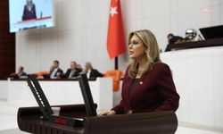 CHP Giresun Milletvekili Gezmiş, 14 Mayıs Eczacılık Günü dolayısıyla eczacıların sorunlarını TBMM'ye taşıdı