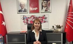 CHP'li Atabay'dan Merkez Bankası'na enflasyon hedefi tepkisi: 'İnandırıcılıktan uzak'