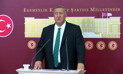 CHP'li Gürer'den yaş çay fiyatına tepki: Üretici için hayal kırıklığı oldu
