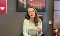 CHP'li İlgezdi: 'İlaç yokluğu halk sağlığı felaketine dönüştü'