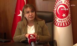 CHP'li Karaca'dan kadın istihdamı için araştırma komisyonu teklifi