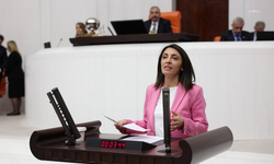 CHP'li Kayışoğlu: İktidar, emekliye kuruşun hesabını yaparken, şirketlerin milyarlarca liralık vergi borçlarını tek kalemde silebiliyor