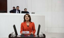CHP'li Kış'tan iktidara 'varlık barışı' eleştirisi: 'Demek ki hala barışamadıkları varlıklar var'