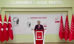 CHP'li Rızvanoğlu: 'Orman yangınlarında kontrol kaybedildi, gönüllülük sistemi risk üretiyor'