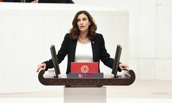 CHP'li Rızvanoğlu'ndan Meclis Başkanı'na çağrı: 'Sizi, bu kara propaganda ağlarına karşı hukuki süreci başlatmaya davet ediyorum'