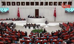 CHP'li Zeybek: Bu iktidar üreticinin ve köylünün dostu değil