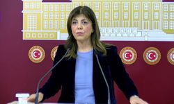 DEM Partili Beştaş'tan Bakan Gürlek'e: 'Delili siz bulacaksınız, o yolları aça aça ilerleyeceksiniz'