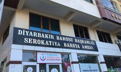 Diyarbakır Barosu'ndan 1990'lı yıllarda işlenen faili meçhul cinayetlerinin araştırılması talebi