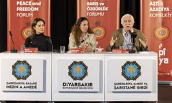 Diyarbakır'da 'Orta Doğu'da barışın imkanları' konuşuldu