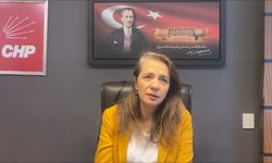 Gamze Akkuş İlgezdi: 'Anayasa'daki 'İnsan onuru ilkesi' parmaklıkların ardında pervasızca adeta çiğneniyor'
