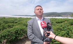 Isparta Ziraat Odası Başkanı Selçuk: 'Gülde 80 liralık taban fiyat çok düşük'