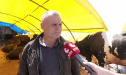 Keçiören Hayvan Pazarı'nda satışlar başladı: Üretici maliyetlerden, emekliler fiyatlardan şikayetçi