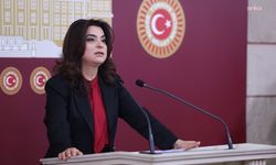 Koçyiğit: Kadın bedenini ve yaşamını siyasal saldırı malzemesi haline getiren ahlaksız dili kabul etmiyoruz