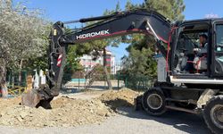 Kuşadası'nda 1,5 yılda 410 ağaç kesilmekten kurtarıldı