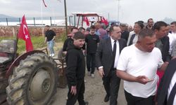 Manisa Büyükşehir Belediyesi'nden 10 bin üreticiye 300 bin yerli fide desteği