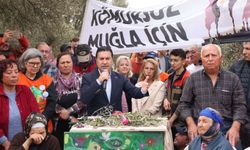 Muğla Büyükşehir Belediye Başkanı Aras, Akbelen için verilen yürütmeyi durdurma kararını değerlendirdi: Hukukun üstünlüğü bir kez daha teyit edildi
