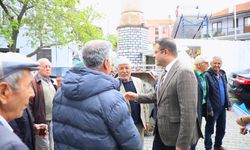 Muğla Büyükşehir Belediyesi'nden Katrancı'da çam fıstığı üreticilerine ilaç desteği